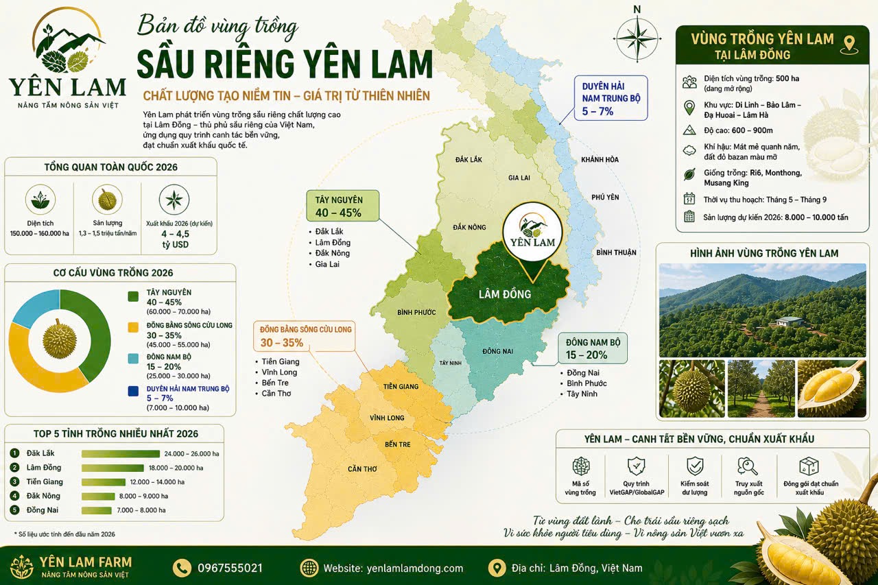 Bản đồ vùng trồng sầu riêng Yên Lam tại Lâm Đồng