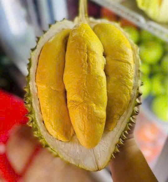 Sầu riêng đã mở để kiểm tra cơm và hạt