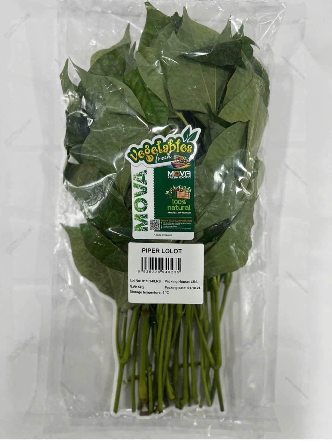 Lá lốt đóng gói trong túi